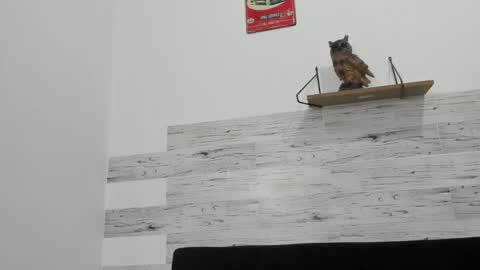 Snapshot of jaycreedd chatting on 10.05.25 Jaycreedd online show from 10.05.25