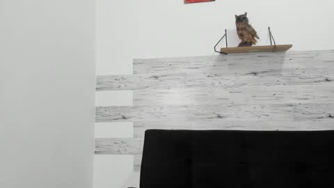 Snapshot of jaycreedd chatting on 10.06.25 Jaycreedd online show from 10.06.25