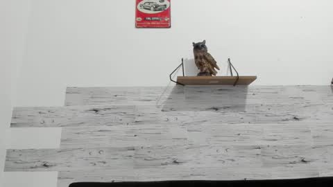 Snapshot of jaycreedd chatting on 10.10.25 Jaycreedd online show from 10.10.25