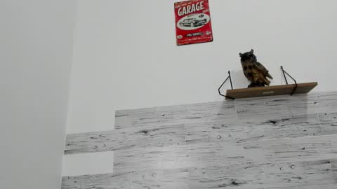 Snapshot of jaycreedd chatting on 10.12.25 Jaycreedd online show from 10.12.25