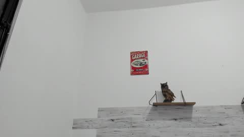 Snapshot of jaycreedd chatting on 10.25.25 Jaycreedd online show from 10.25.25