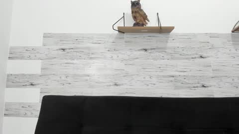 Snapshot of jaycreedd chatting on 10.29.25 Jaycreedd online show from 10.29.25