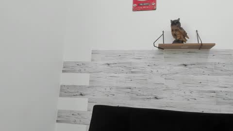 Snapshot of jaycreedd chatting on 11.02.25 Jaycreedd online show from 11.02.25