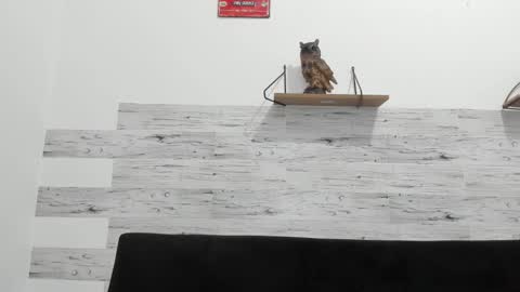 Snapshot of jaycreedd chatting on 11.03.25 Jaycreedd online show from 11.03.25