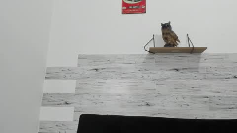 Snapshot of jaycreedd chatting on 11.07.25 Jaycreedd online show from 11.07.25