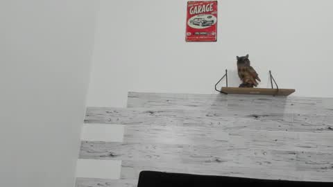 Snapshot of jaycreedd chatting on 11.11.25 Jaycreedd online show from 11.11.25