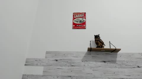 Snapshot of jaycreedd chatting on 11.21.25 Jaycreedd online show from 11.21.25