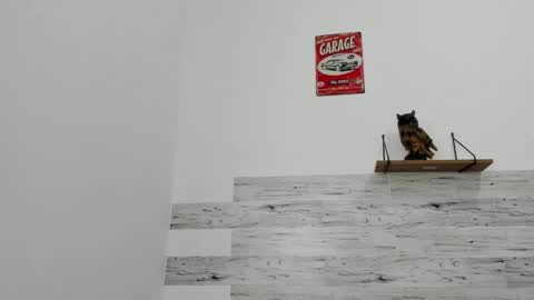 Snapshot of jaycreedd chatting on 11.22.25 Jaycreedd online show from 11.22.25