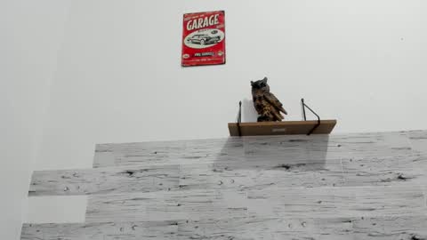 Snapshot of jaycreedd chatting on 11.25.25 Jaycreedd online show from 11.25.25