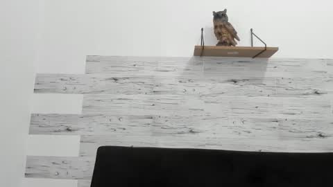 Snapshot of jaycreedd chatting on 11.28.25 Jaycreedd online show from 11.28.25