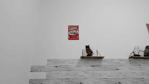 Snapshot of jaycreedd chatting on 11.30.25 Jaycreedd online show from 11.30.25