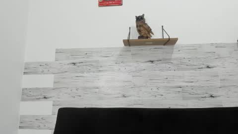 Snapshot of jaycreedd chatting on 12.05.25 Jaycreedd online show from 12.05.25