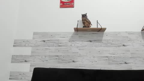 Snapshot of jaycreedd chatting on 01.14.26 Jaycreedd online show from 01.14.26