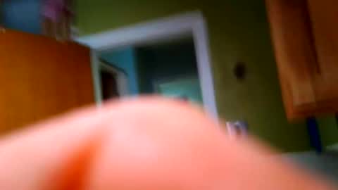 jdog00133 online show from 02.02.26