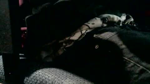 JJ Banks online show from 02.19.26