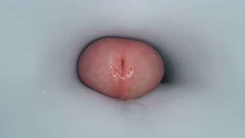 jeffrodgerschaturbat online show from 12.30.24