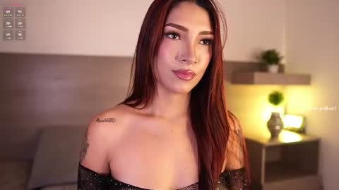     online show from 07.11.26
