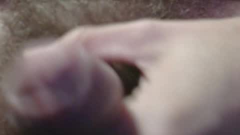 jerkingtyce online show from 05.03.26