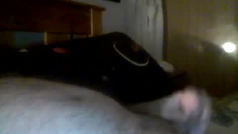 Snapshot of jerkmate6666 chatting on 12.21.24 jerkmate6666 online show from 12.21.24