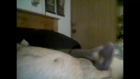 Snapshot of jerkmate6666 chatting on 09.16.25 jerkmate6666 online show from 09.16.25