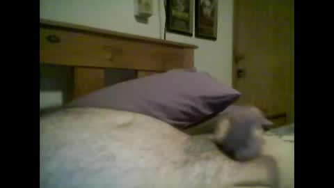 Snapshot of jerkmate6666 chatting on 10.14.25 jerkmate6666 online show from 10.14.25