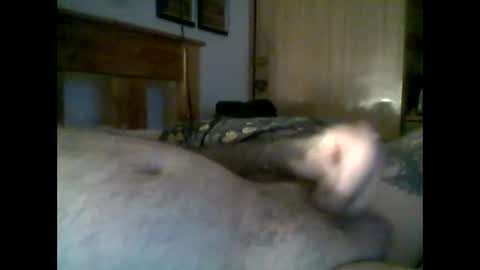 jerkmate6666 online show from 11.22.25