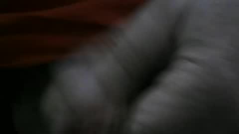 jerom111111111 online show from 01.02.25