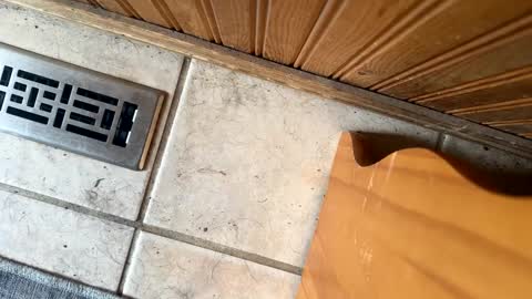 Snapshot of jerswill chatting on 09.19.25 Jeremys room chill and puff one enjoy online show from 09.19.25