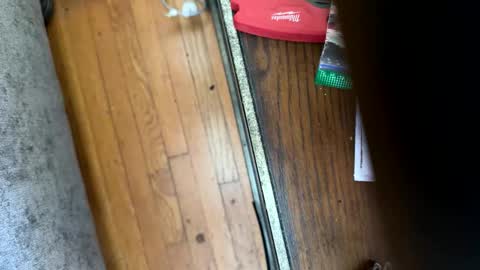 Snapshot of jerswill chatting on 01.12.26 Jeremys room chill and puff one enjoy online show from 01.12.26