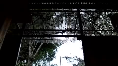 jesuyave online show from 04.19.26