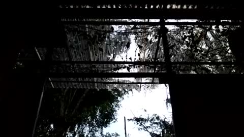 jesuyave online show from 04.19.26