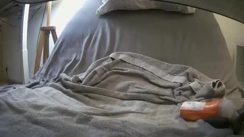 Snapshot of jhonson7342 chatting on 02.11.26 jhonson7342 online show from 02.11.26