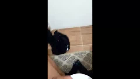 Snapshot of jixldfseepsv chatting on 01.17.26 jixldfseepsv online show from 01.17.26