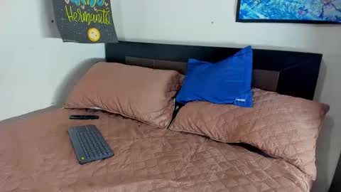 Snapshot of joalremu11_ink chatting on 02.26.26 ale online show from 02.26.26