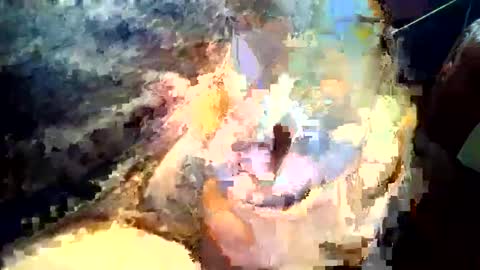 joedunbar61 online show from 09.17.25