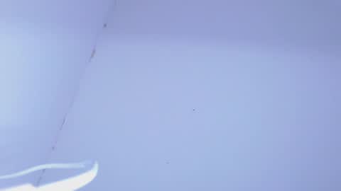 JOHAN independient model online show from 02.05.25