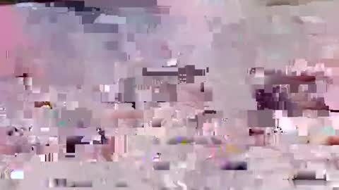 johdie online show from 02.11.26