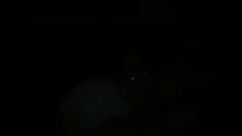 Snapshot of johnukber chatting on 12.09.24 John Ukber online show from 12.09.24