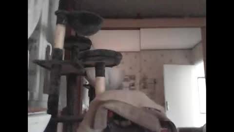 jojo60000529566 online show from 03.04.25