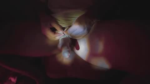 Snapshot of jonahshyfap chatting on 01.09.25 jonahshyfap online show from 01.09.25