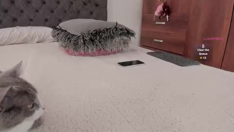 Will online show from 11.20.25