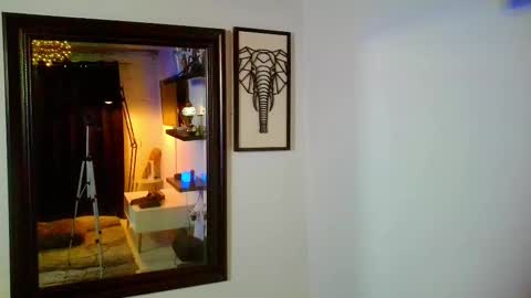 Jose Meireles online show from 02.01.25