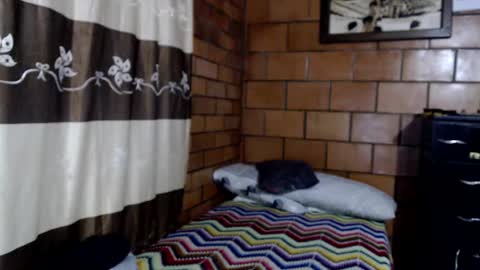 joseph online show from 10.22.25