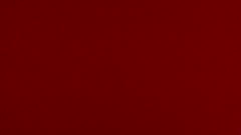 josierainsss online show from 02.03.26