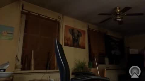 jott604214 online show from 03.08.26