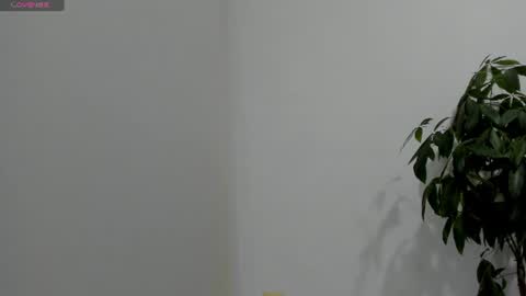 sofiaparker8 online show from 07.26.26
