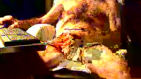 Snapshot of joystik4u60 chatting on 11.02.25 joystik4u60 online show from 11.02.25