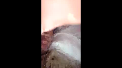 jtnorris0299626957 online show from 04.16.26