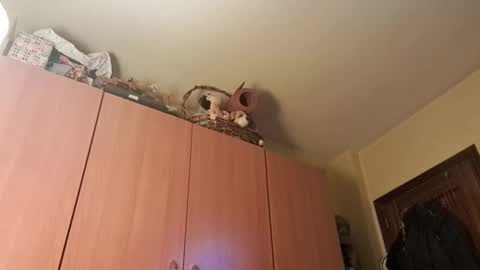 Snapshot of juanka85564456 chatting on 01.20.25 juanka85564456 online show from 01.20.25