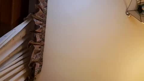 Snapshot of juanka85564456 chatting on 02.28.25 juanka85564456 online show from 02.28.25